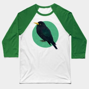 Starling Baseball T-Shirt